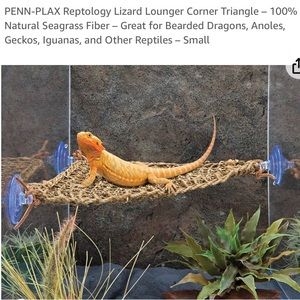 NWT 100% Natural Seagrass “Penn Plax” Reptology Lizard-Lounger
